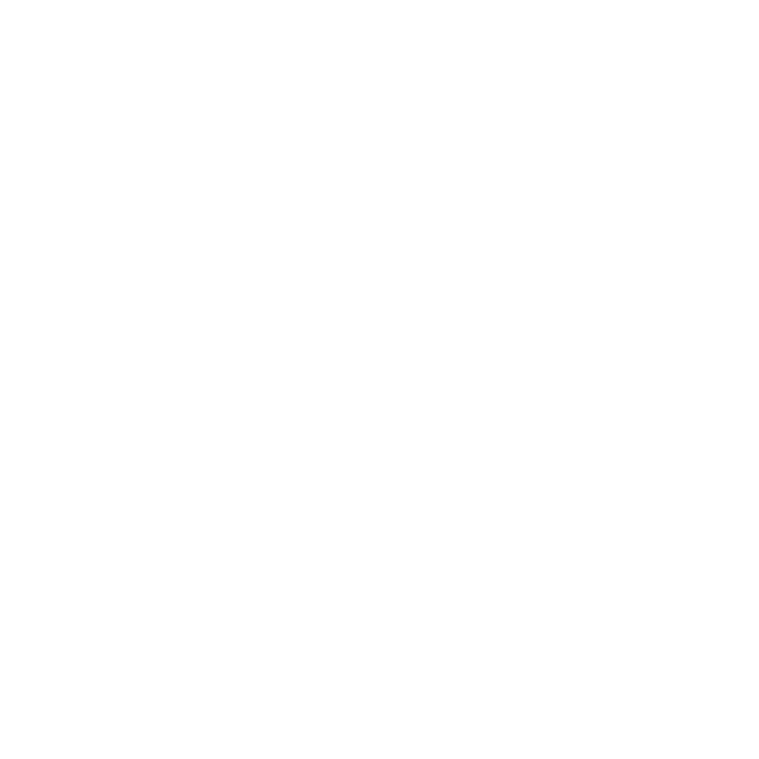 Python Programming icon